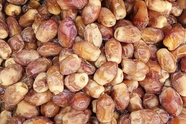 تصویر 4 از خرید خرما زاهدی ایرانی + قیمت فروش استثنایی